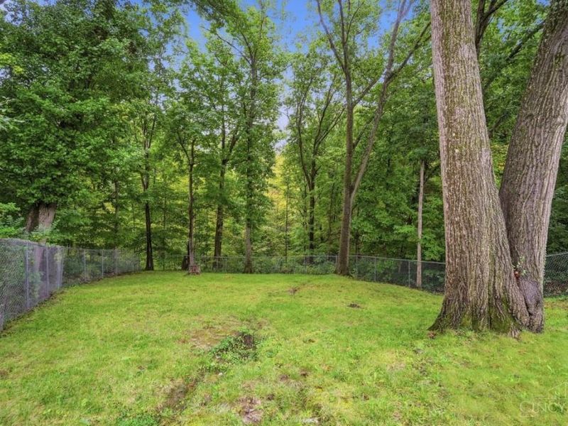 9596 Leebrook Drive, Springfield Township, OH 45231 Photo 82
