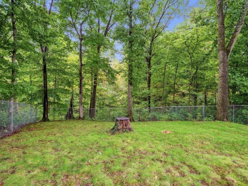 9596 Leebrook Drive, Springfield Township, OH 45231 Photo 83