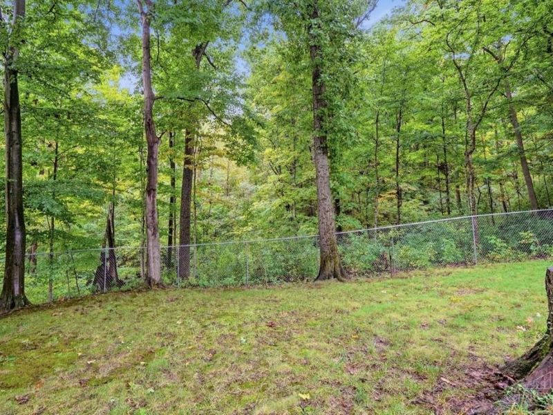 9596 Leebrook Drive, Springfield Township, OH 45231 Photo 84