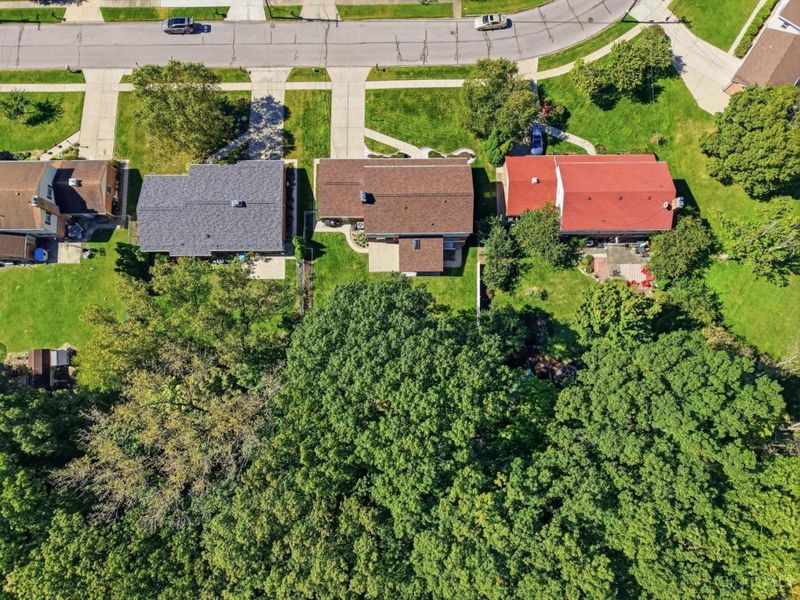 9596 Leebrook Drive, Springfield Township, OH 45231 Photo 93