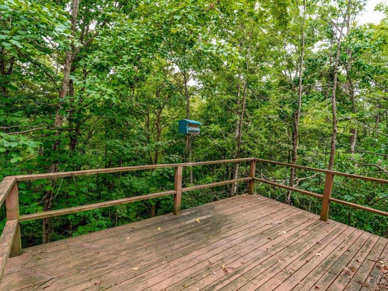 1001 Shakertown Court, Montgomery, OH 45242 Photo 24