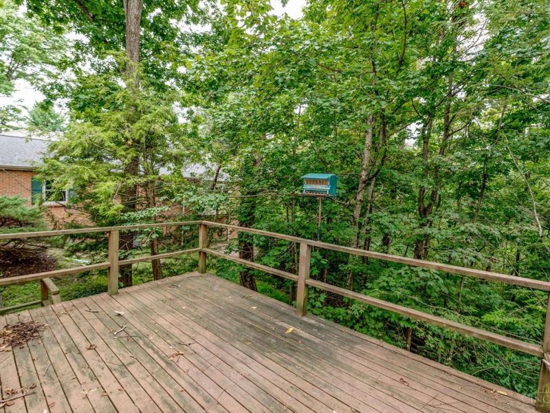 1001 Shakertown Court, Montgomery, OH 45242 Photo 25