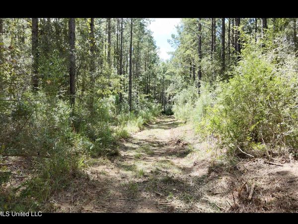 0 Union Road Se, Brookhaven, MS 39601