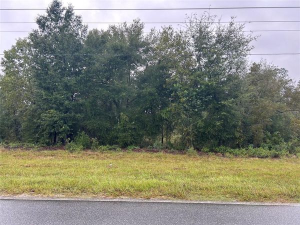 TBD NE 110TH STREET , BRONSON, FL 32621