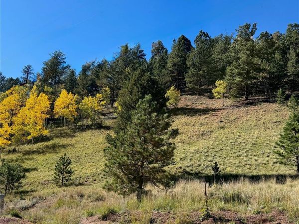 200 Beaver Pond Road, Divide, CO 80814