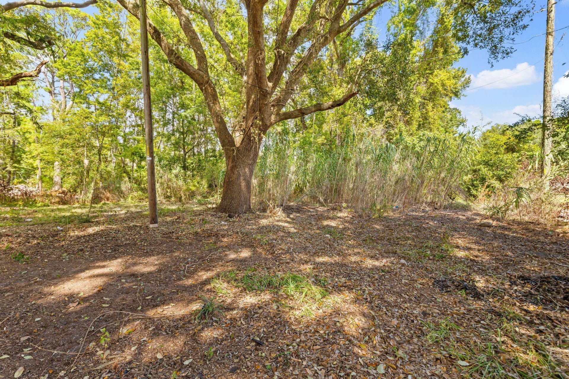 2782 Evans Way Photo 35