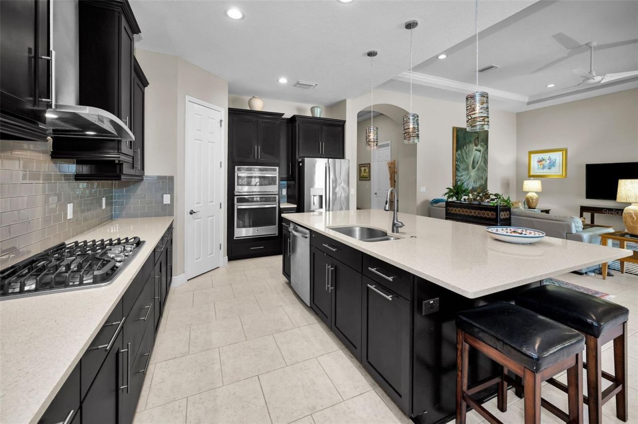 1366 Via Verdi Drive, Palm Harbor, FL 34683 Photo
