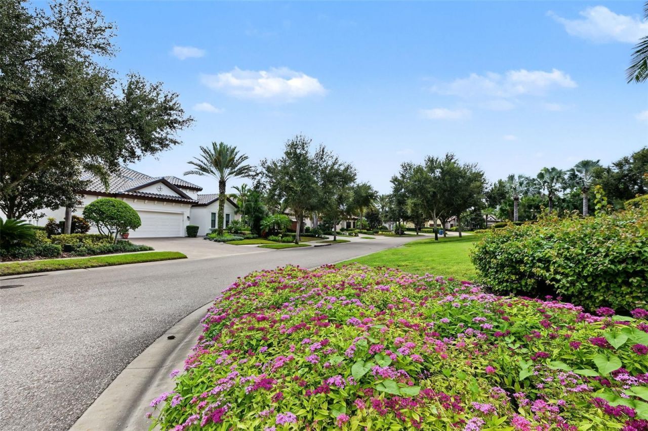 1366 Via Verdi Drive, Palm Harbor, FL 34683 Photo