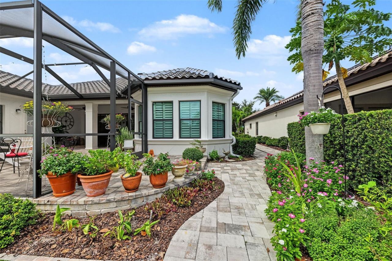 1366 Via Verdi Drive, Palm Harbor, FL 34683 Photo