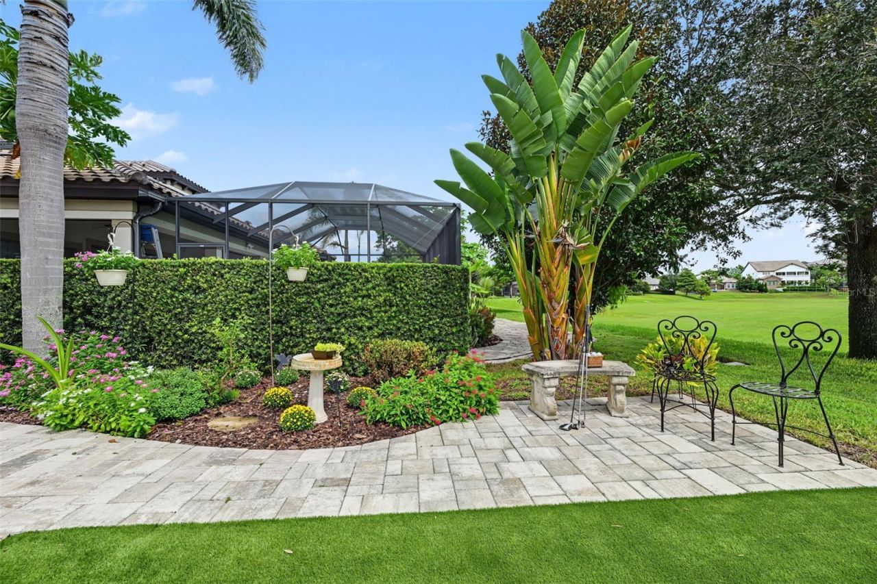 1366 Via Verdi Drive, Palm Harbor, FL 34683 Photo