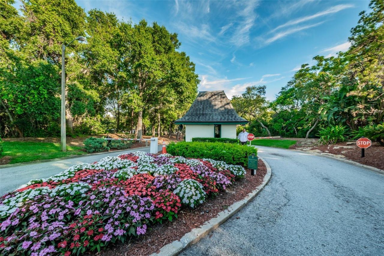 1366 Via Verdi Drive, Palm Harbor, FL 34683 Photo