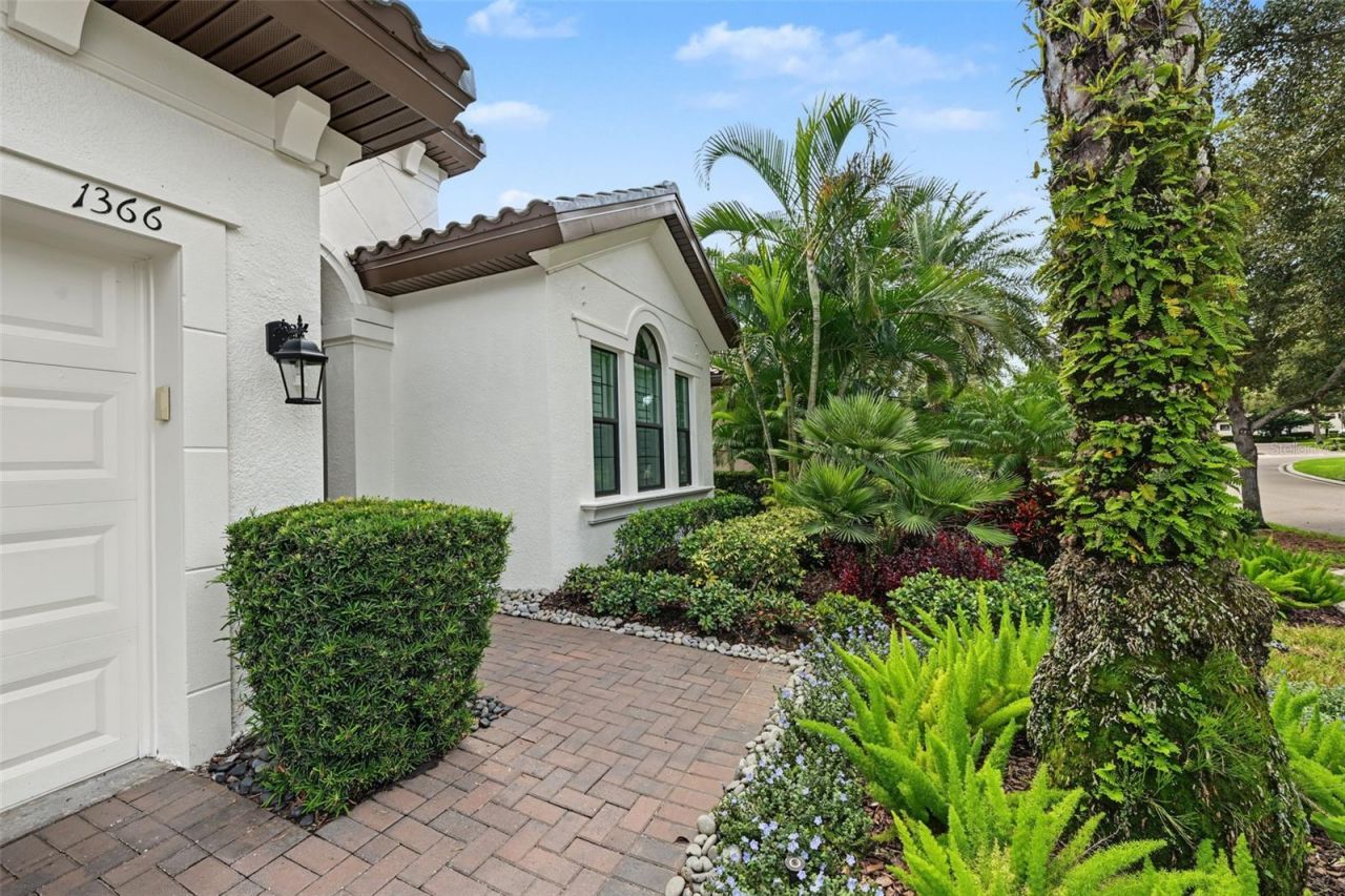 1366 Via Verdi Drive, Palm Harbor, FL 34683 Photo
