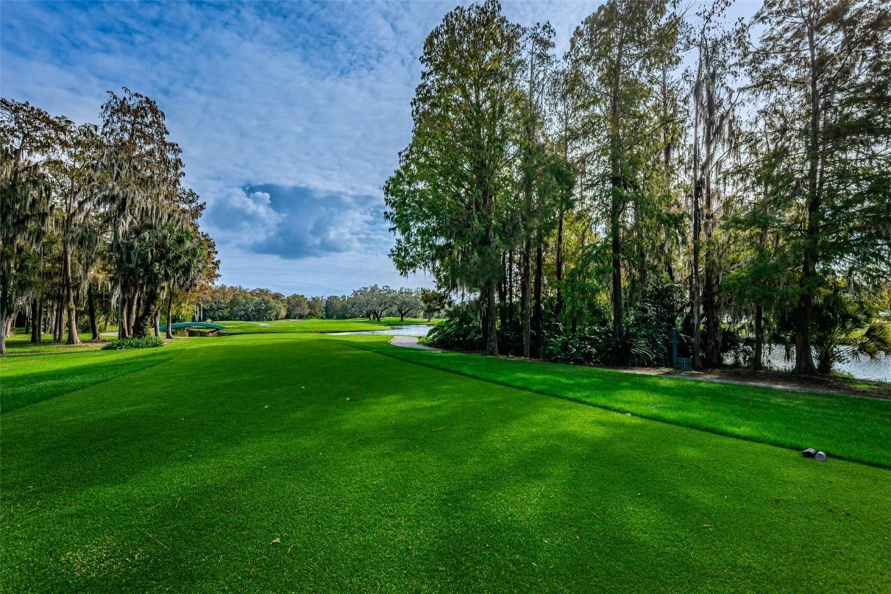 1366 Via Verdi Drive, Palm Harbor, FL 34683 Photo