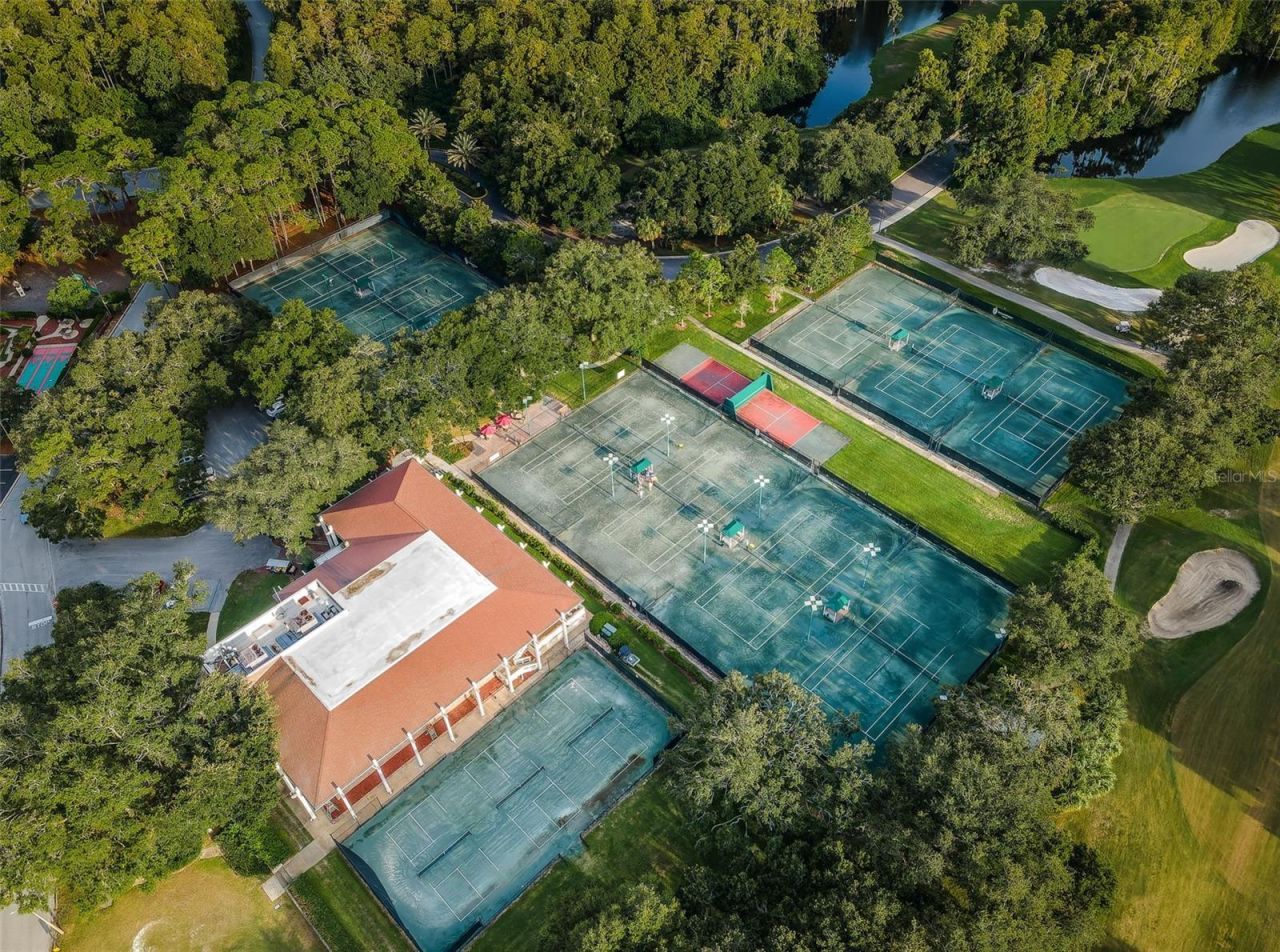 1366 Via Verdi Drive, Palm Harbor, FL 34683 Photo