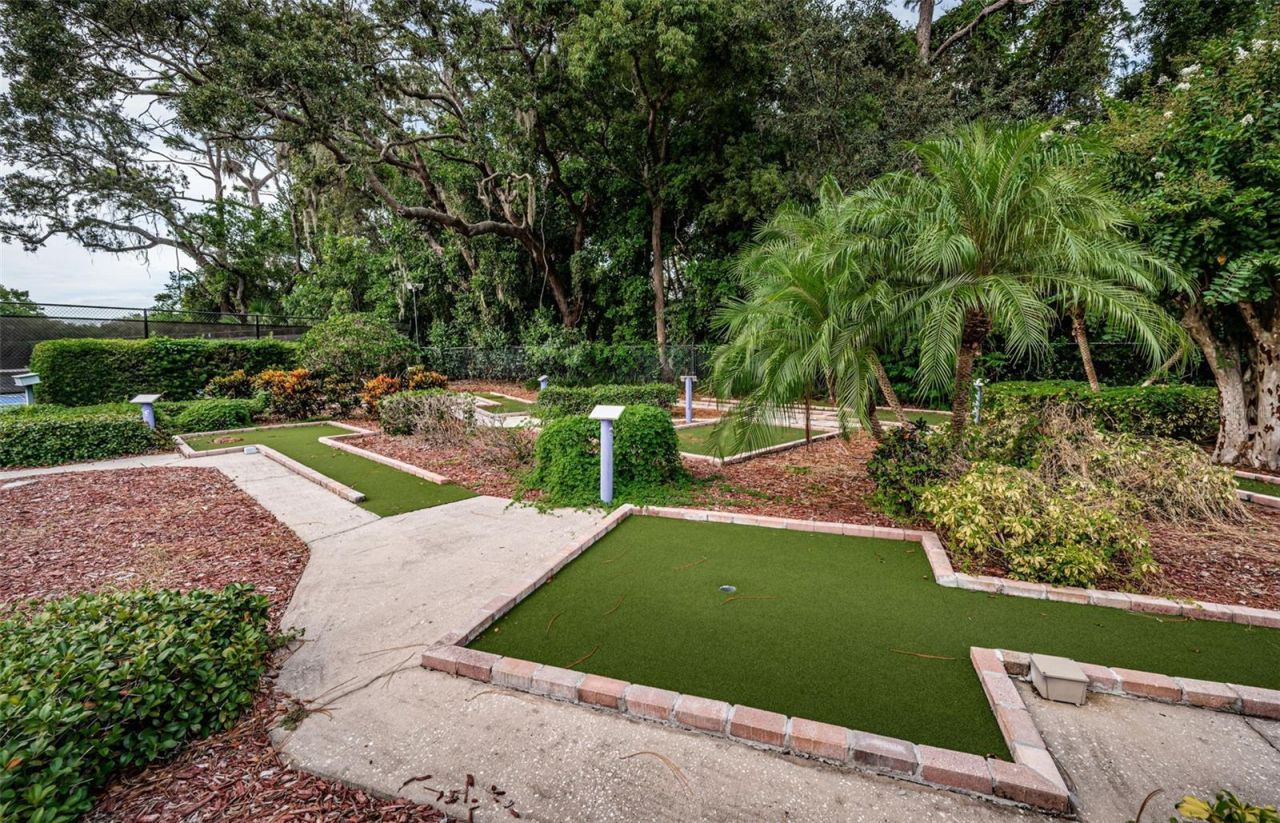 1366 Via Verdi Drive, Palm Harbor, FL 34683 Photo