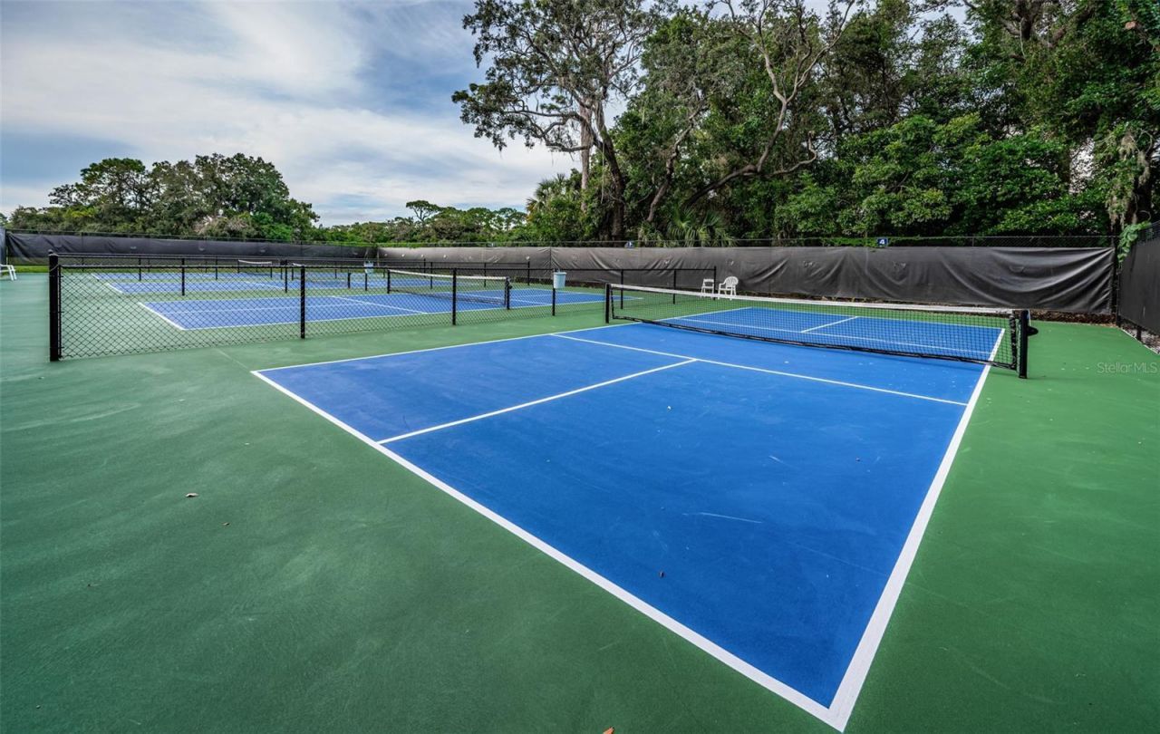 1366 Via Verdi Drive, Palm Harbor, FL 34683 Photo