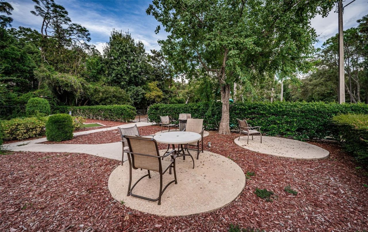 1366 Via Verdi Drive, Palm Harbor, FL 34683 Photo