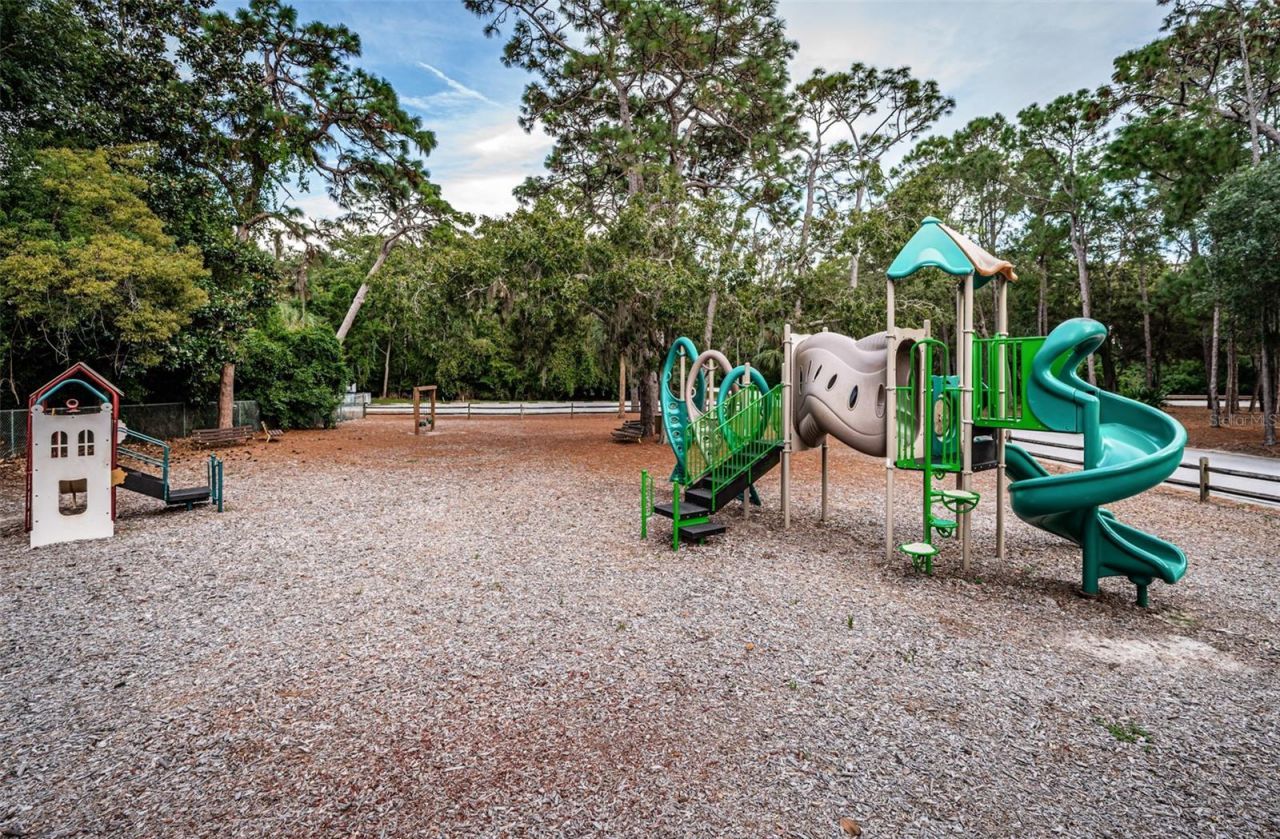 1366 Via Verdi Drive, Palm Harbor, FL 34683 Photo