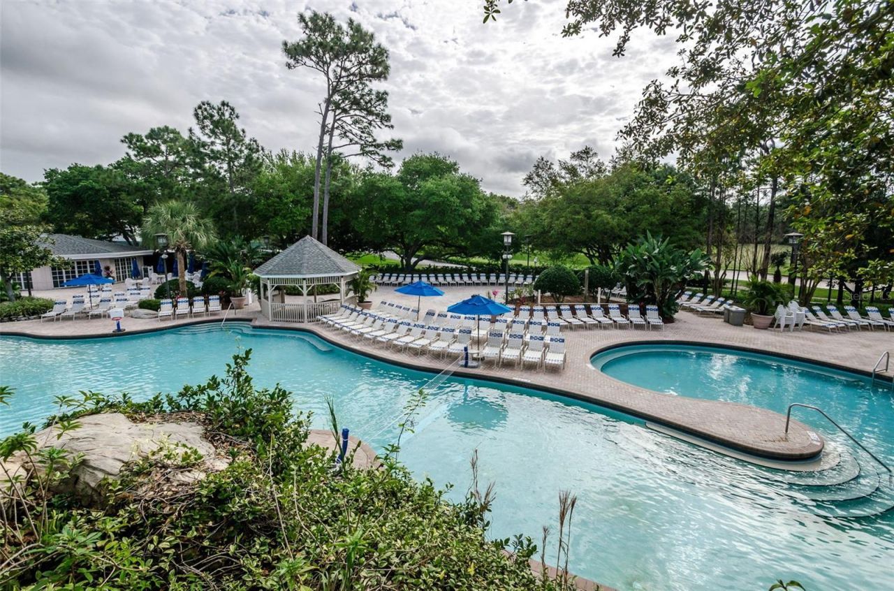 1366 Via Verdi Drive, Palm Harbor, FL 34683 Photo