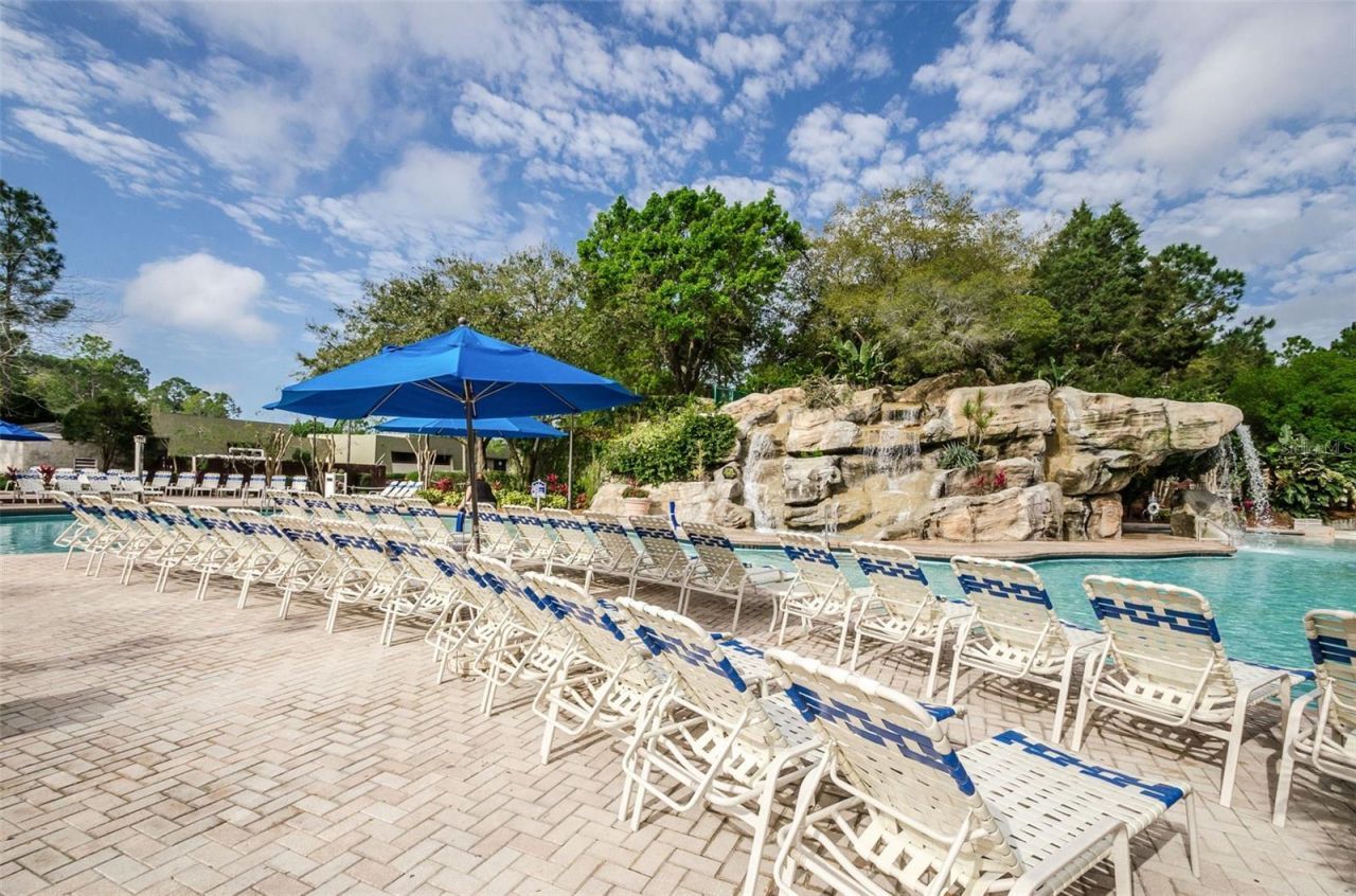 1366 Via Verdi Drive, Palm Harbor, FL 34683 Photo