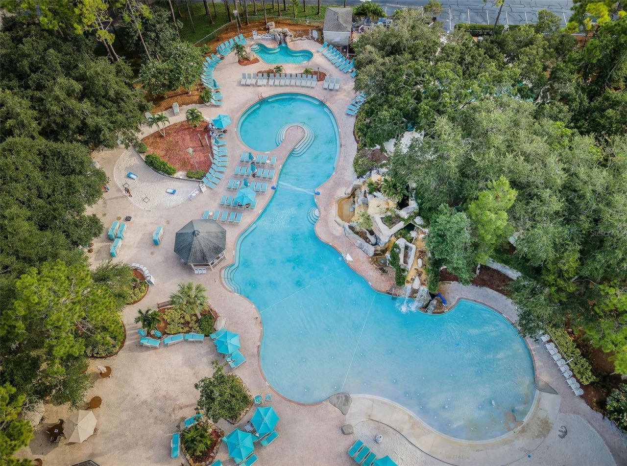 1366 Via Verdi Drive, Palm Harbor, FL 34683 Photo