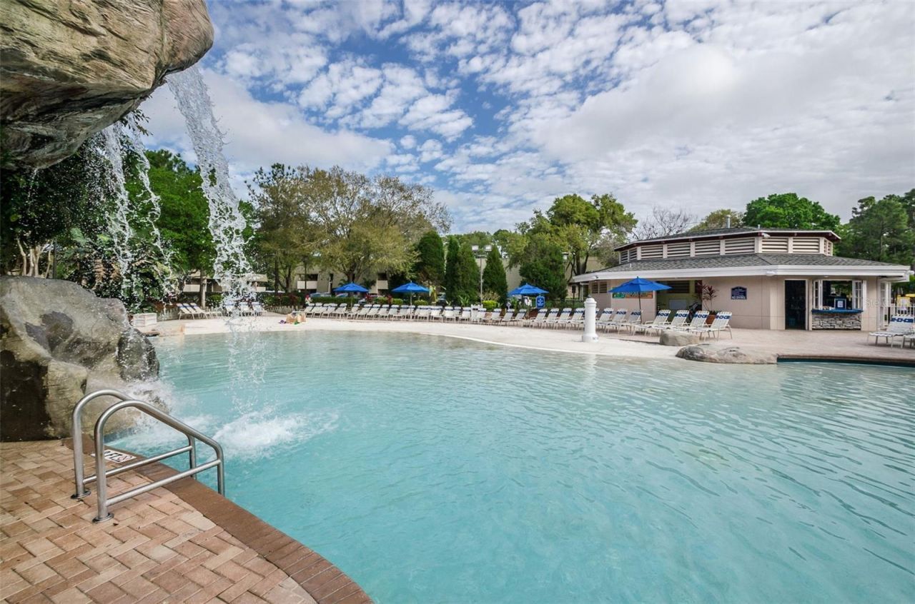 1366 Via Verdi Drive, Palm Harbor, FL 34683 Photo