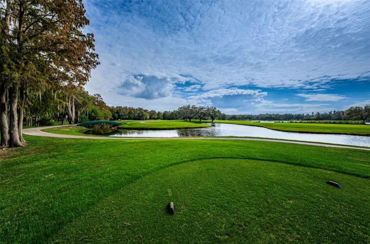 1366 Via Verdi Drive, Palm Harbor, FL 34683 Photo