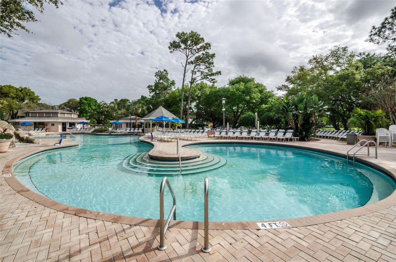1366 Via Verdi Drive, Palm Harbor, FL 34683 Photo