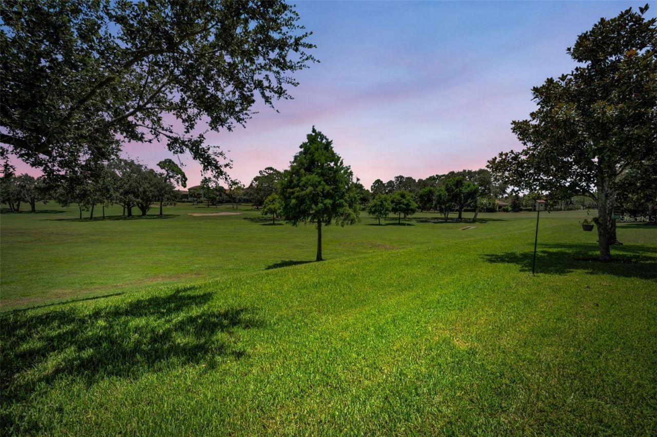 1366 Via Verdi Drive, Palm Harbor, FL 34683 Photo