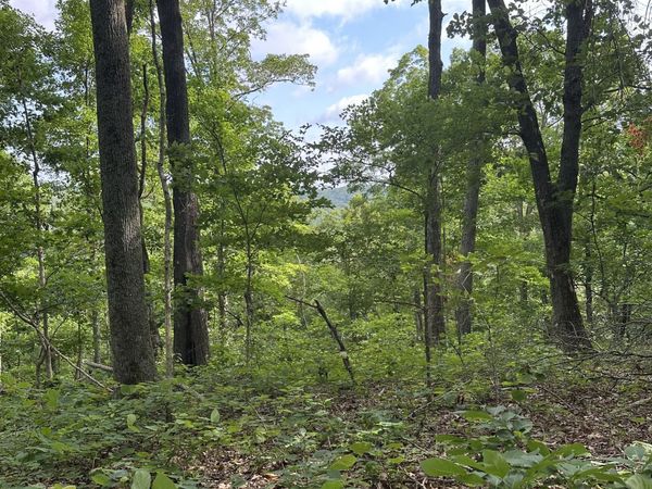 220 Selah Pvt Path, Gallatin, TN 37066