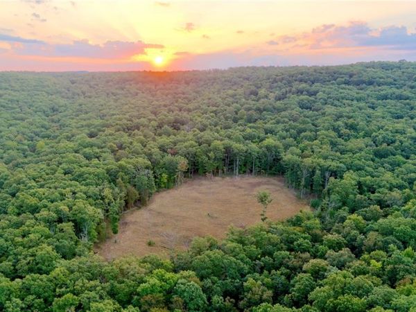 3975 NC 9560 , Pettigrew, AR 72752