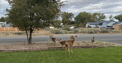 1469 Langley Drive, Gardnerville, NV 89460 Photo