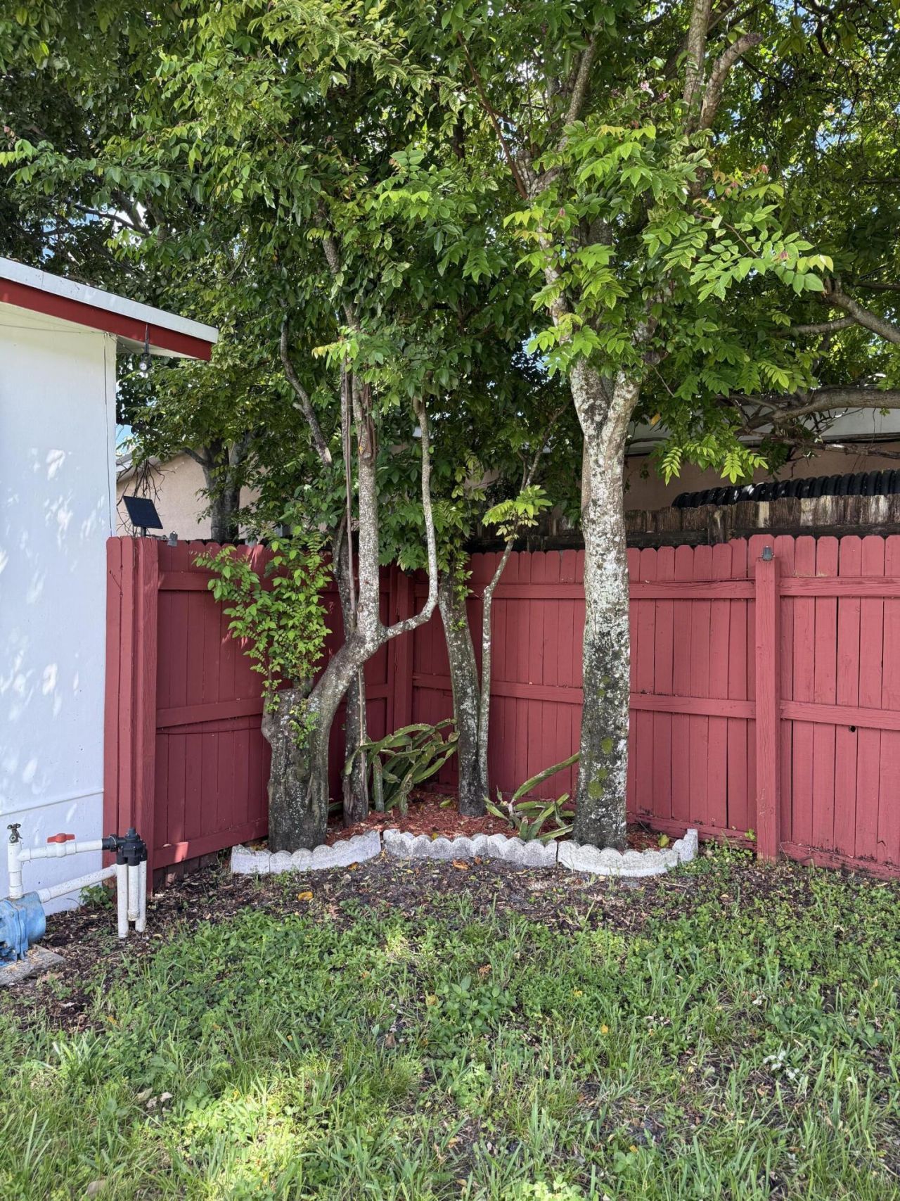 7440 Freedom Street, Hollywood, FL 33024 Photo
