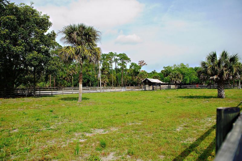 2833 F Road, Loxahatchee Groves, FL 33470 Photo