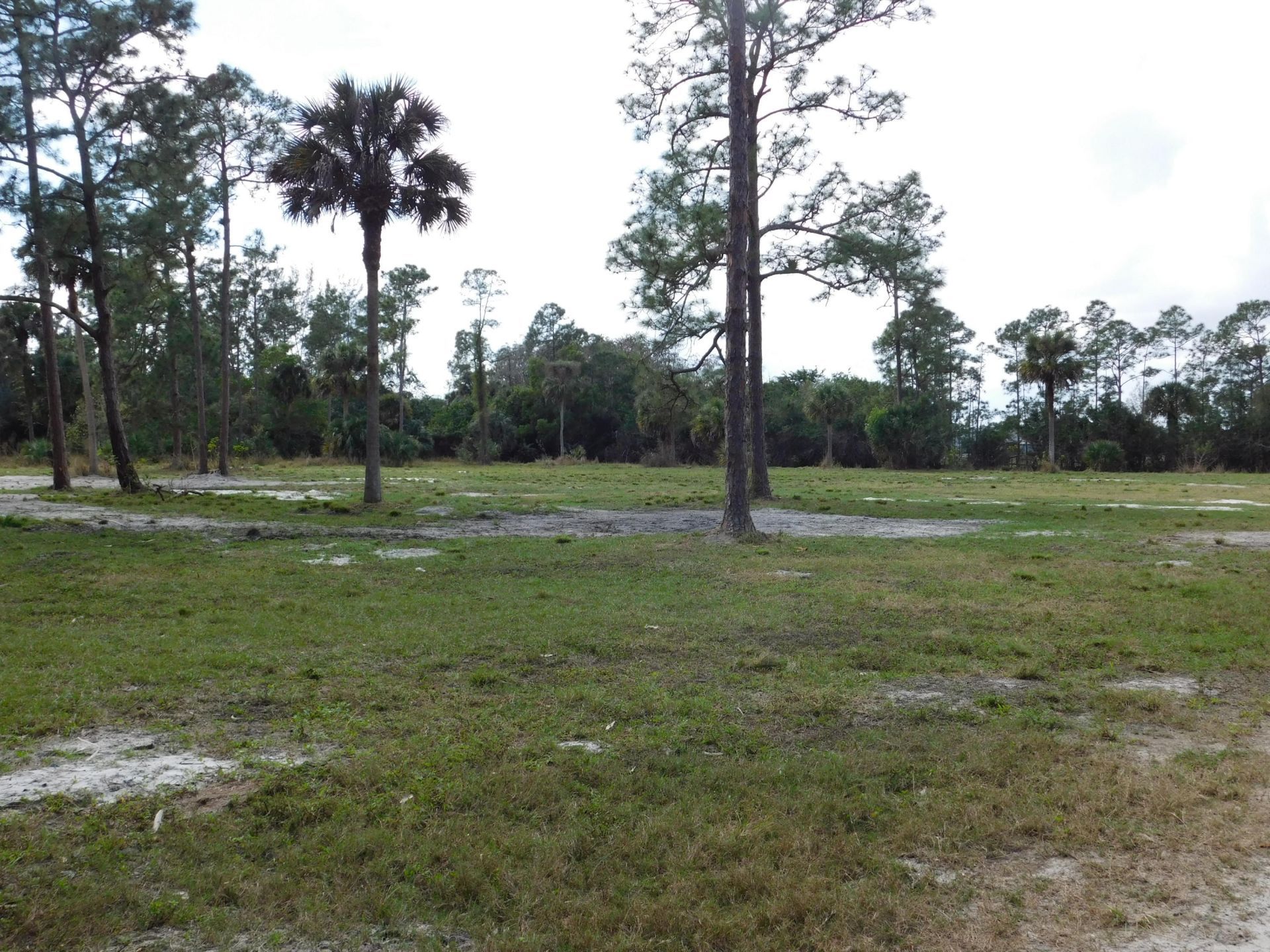 2833 F Road, Loxahatchee Groves, FL 33470 Photo