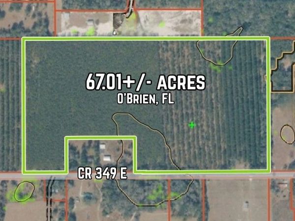 TBD CR 349, OBrien, FL 32071