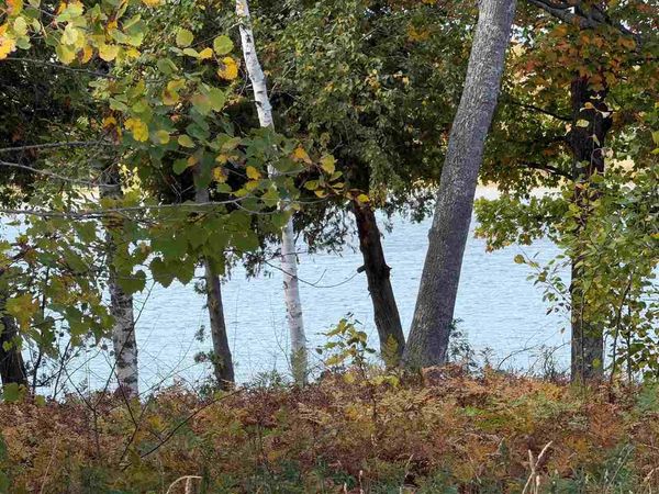7777 Mulberry Lane, Charlevoix, MI 49720