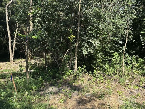00 Sulee Circle, South Pittsburg, TN 37380
