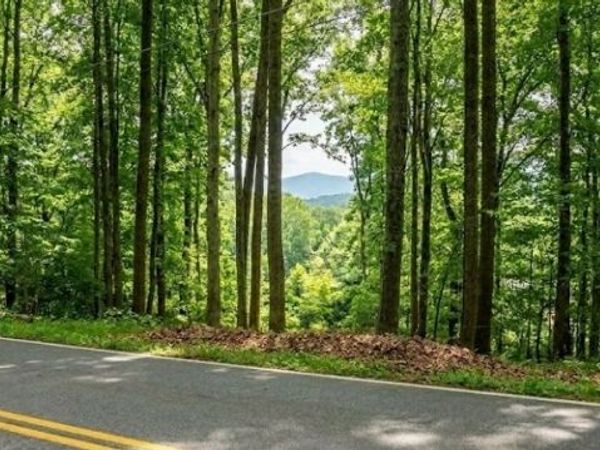 0 Carlton Rd , Bristol, TN 37620