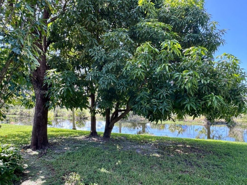 10742 La Placida Dr, Unit 8-B1, Coral Springs, FL 33065 Photo