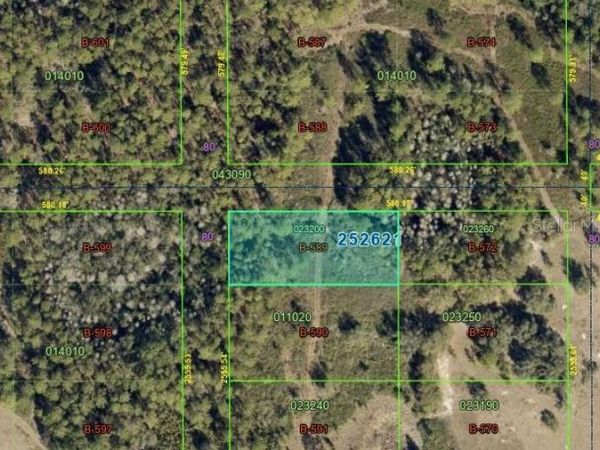 25-26-21-000000-023200 , POLK CITY, FL 33868