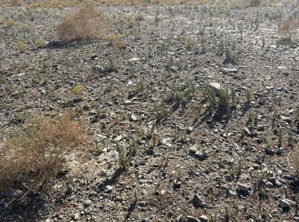 227 Leona Drive, Lot #Lot 36, 37, Walker Lake, NV 89415 Photo