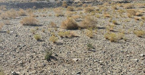 227 Leona Drive, Lot #Lot 36, 37, Walker Lake, NV 89415 Photo