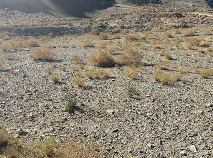 227 Leona Drive, Lot #Lot 36, 37, Walker Lake, NV 89415 Photo