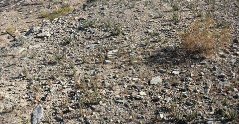 227 Leona Drive, Lot #Lot 36, 37, Walker Lake, NV 89415 Photo