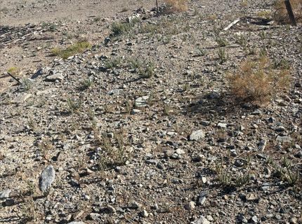227 Leona Drive, Lot #Lot 36, 37, Walker Lake, NV 89415 Photo