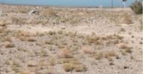 227 Leona Drive, Lot #Lot 36, 37, Walker Lake, NV 89415 Photo