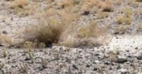 227 Leona Drive, Lot #Lot 36, 37, Walker Lake, NV 89415 Photo