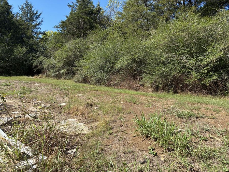 Property Image 62