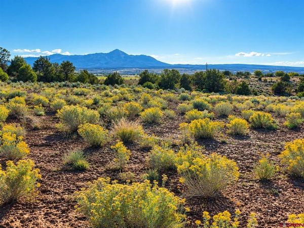13551 Road 32.75, Mancos, CO 81328